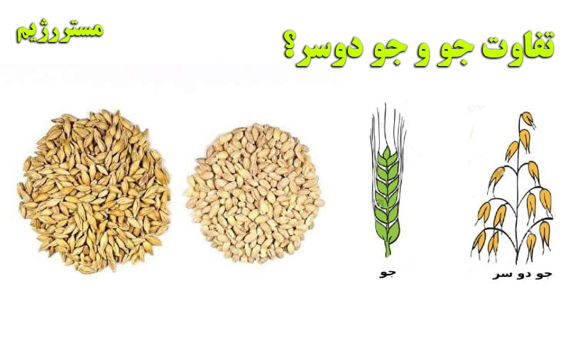 جو دوسر برای لاغری 