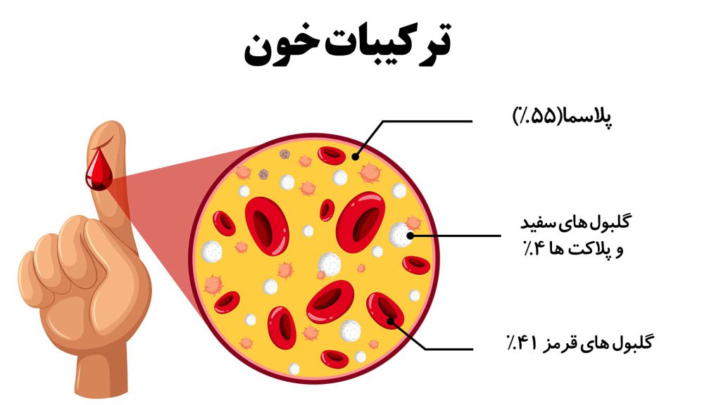 ترکیبات خون (چه چیزهایی در خون وجود دارد)